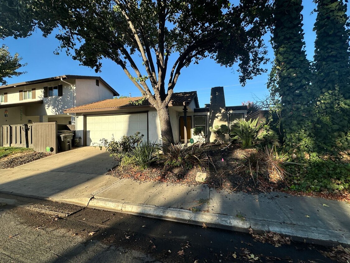 Building Photo - 313 Ladona Ct
