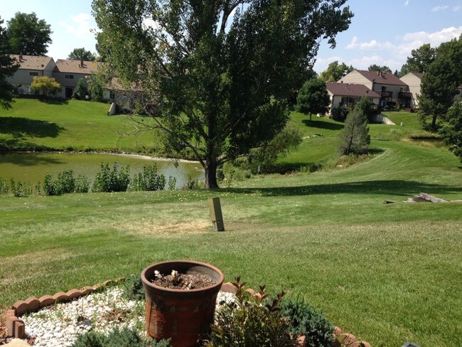 Lookout desde el patio trasero - 4386 W Pondview Dr