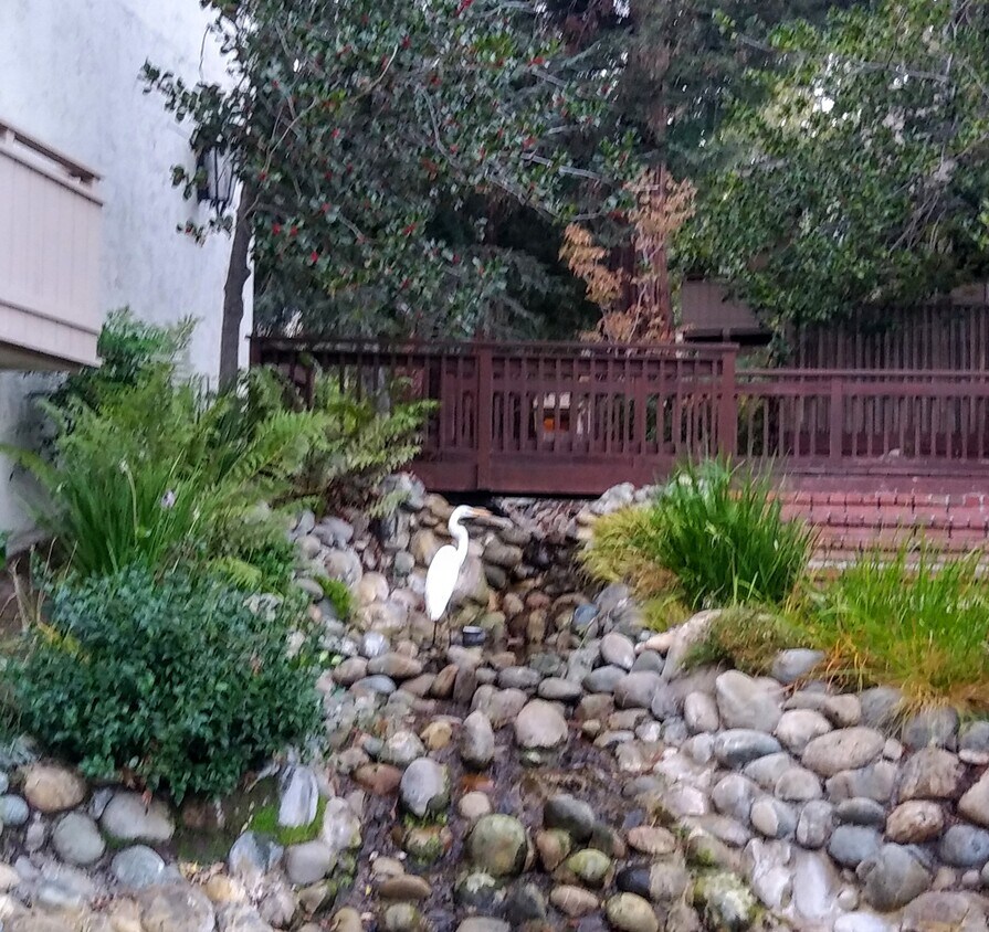 Photo - 20812 4th St (Saratoga, CA)