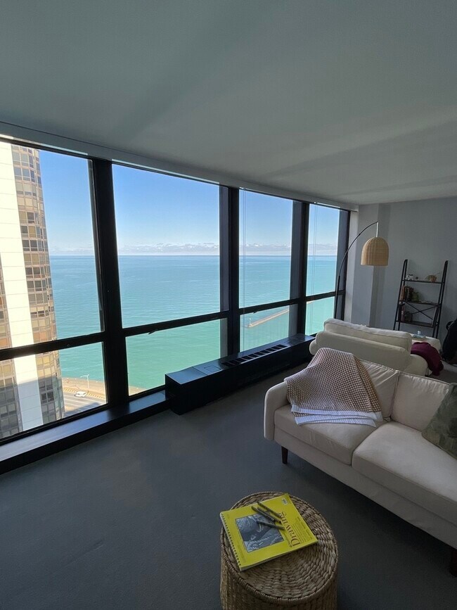 Foto del edificio - 900 N Lake Shore Dr