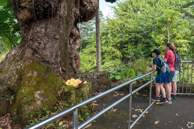 Explore lush vegetation at Wailuku River State Park.