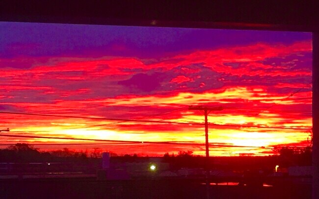 Foto del edificio - 1058 Forest Ave