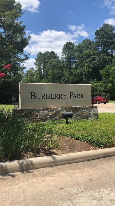 Primary Photo - 11 Aquiline Oaks Pl