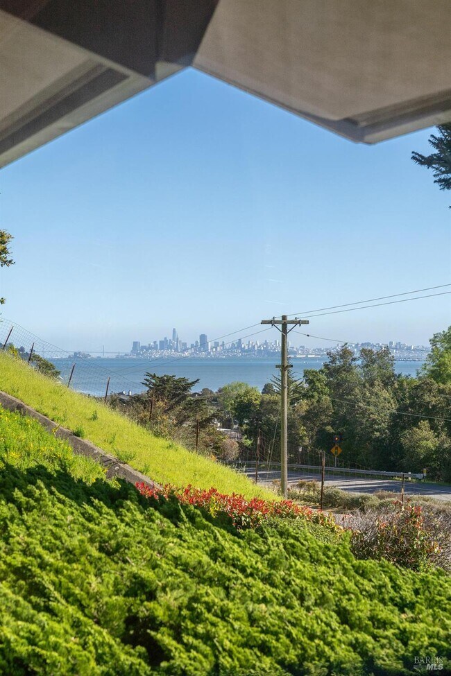 Building Photo - 141 Tiburon Blvd