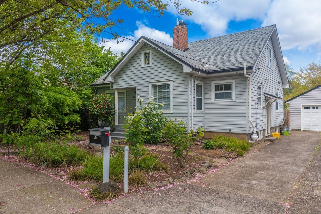 Primary Photo - Newly updated 1 Bedroom Basement Unit!