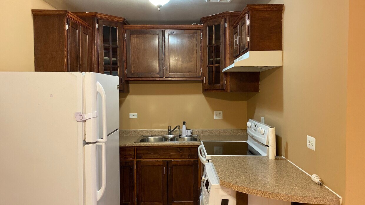 10275 86th Terrace Unit 303, Palos Hills, IL 60465 Condo for Rent in