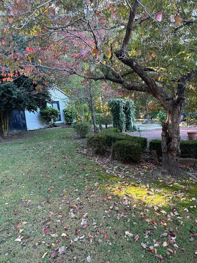 Building Photo - 307 Park Ave