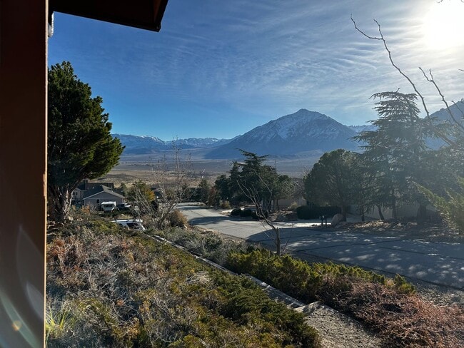 Building Photo - Views from Paradise!