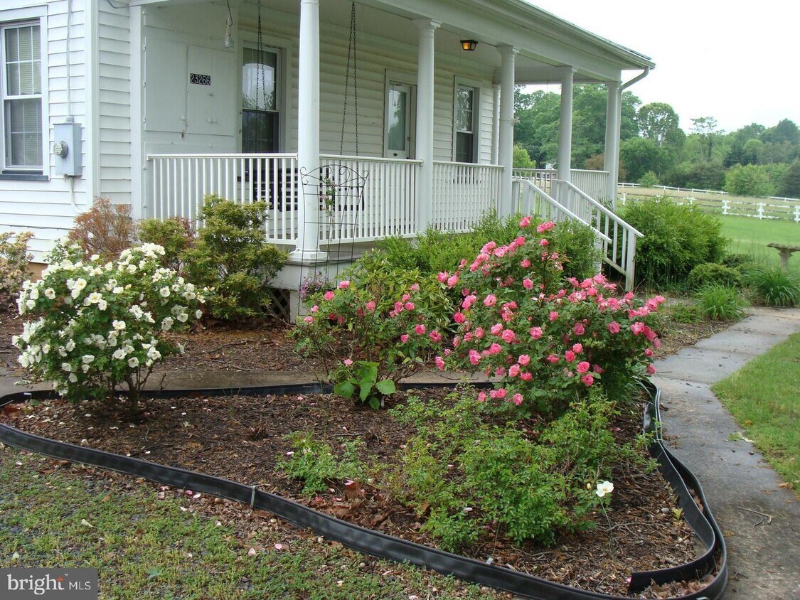 Foto principal - 23266 Village Rd