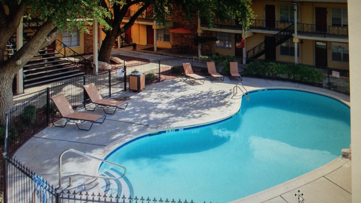 Serene Pool - 4010 Tanglewood Ln