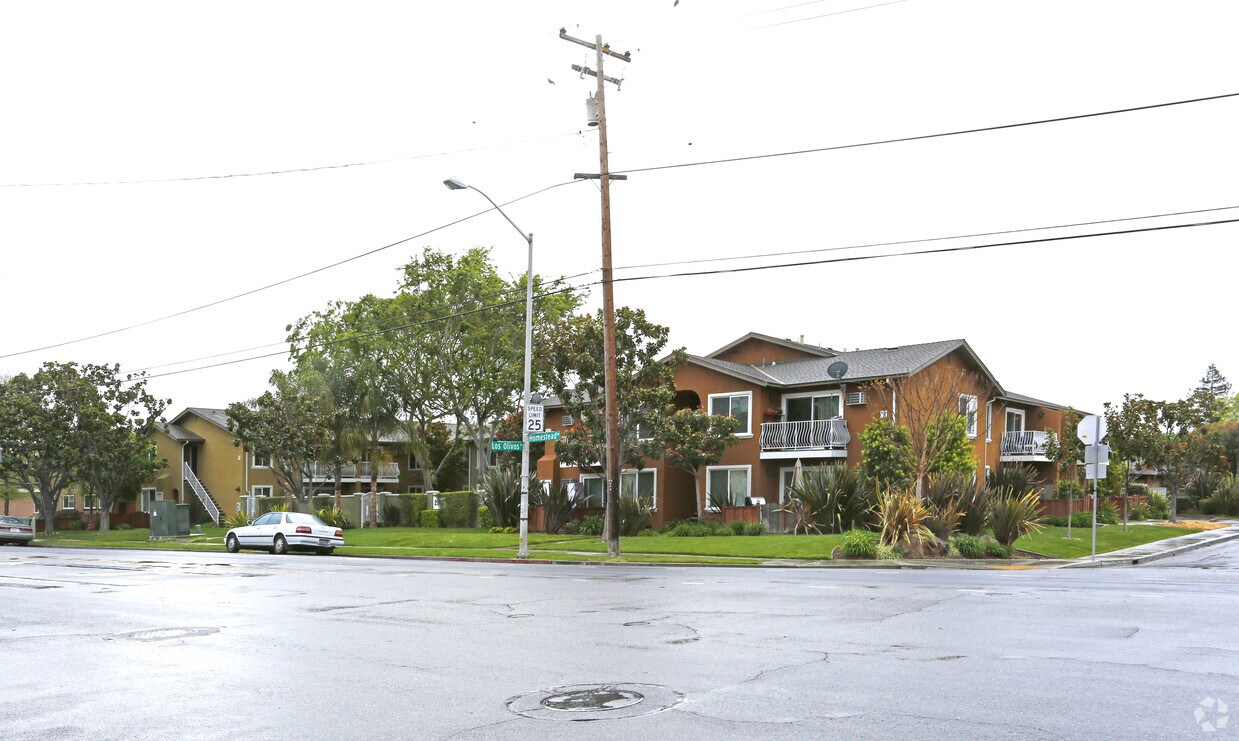 Primary Photo - Los Olivos Apartments