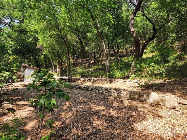 Building Photo - 19614 Grey Forest Dr
