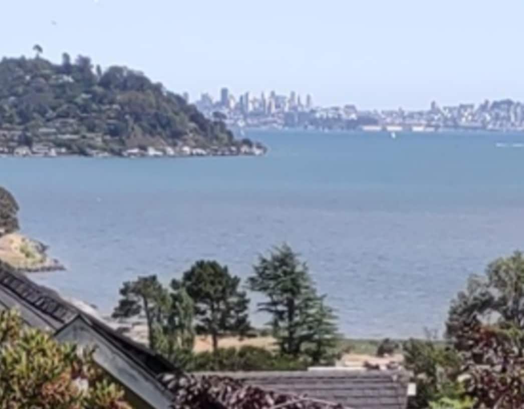 See this view from every room! - 44 Reed Ranch Rd