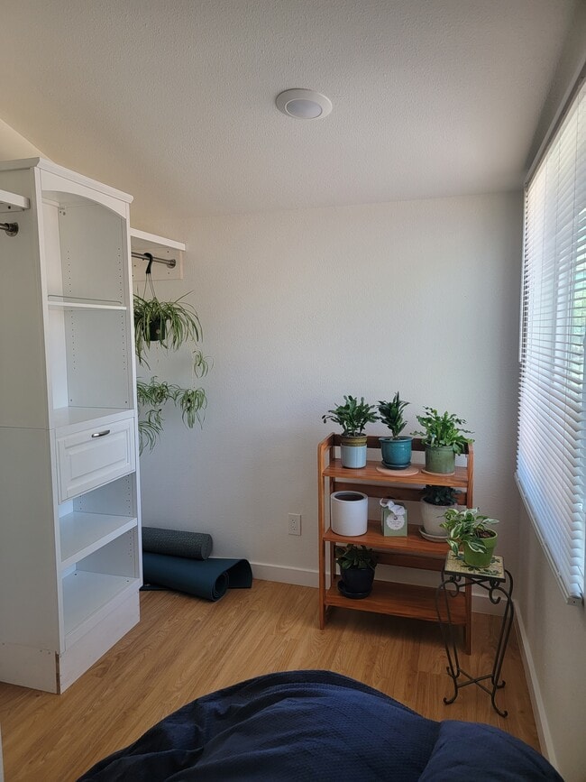 Building Photo - 923 Las Juntas St