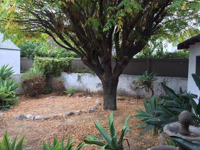 Backyard - 1119 Forest Ave