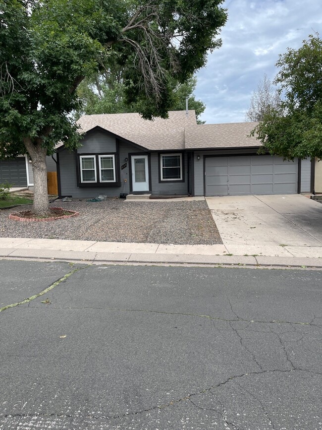 Building Photo - 835 Tammany Dr