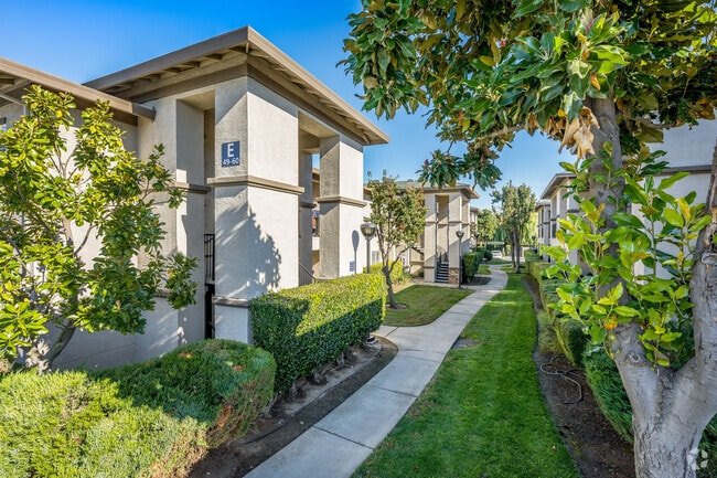 Building Photo - River Oaks Apartments - Yuba City