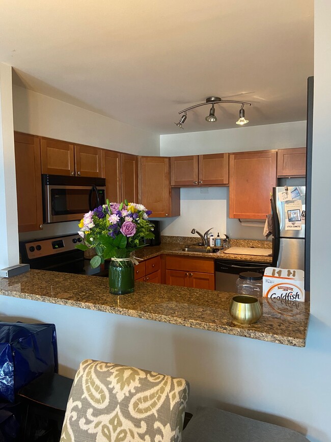Kitchen - 1560 N Sandburg Ter