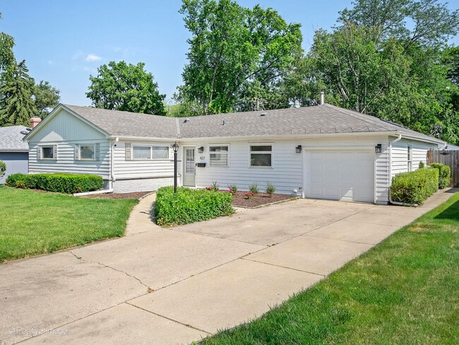 Building Photo - 427 Turf Ln