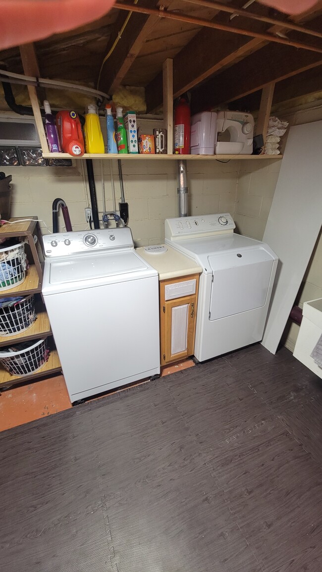 Laundry room - 320 Leray Ave