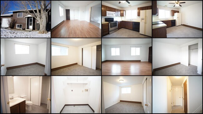 Building Photo - 805 Wind River Dr