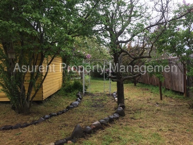 Foto del edificio - Cute Ashland Cottage 1/1 standalone $1450