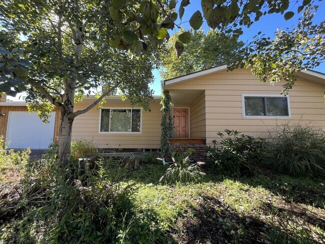 Building Photo - Classic Comfort Meets Modern Style in This Updated 2-Bedroom Basement Unit with Modern Finishes &...