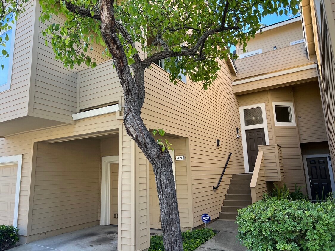 5224 Common Unit 5224, Fremont, CA 94555 Condo for Rent in