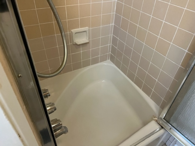 shower area - 7765 W 91st St