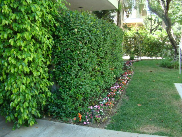 Foto del edificio - 533 S Hudson Ave