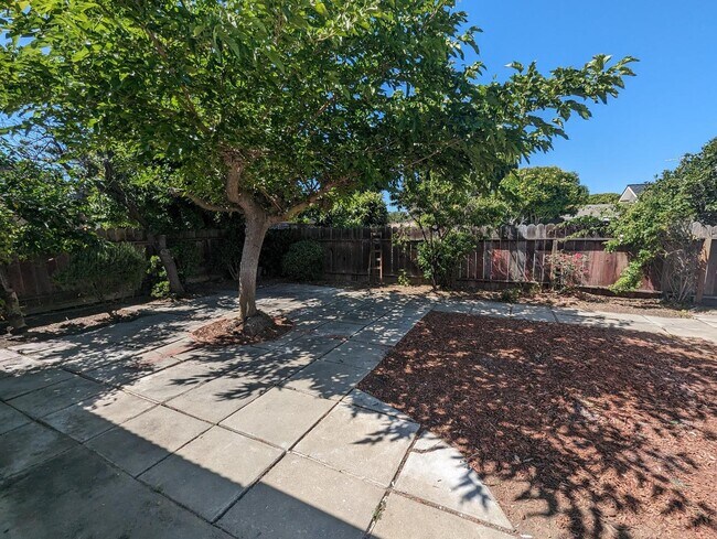Building Photo - 485 S Fair Oaks Ave
