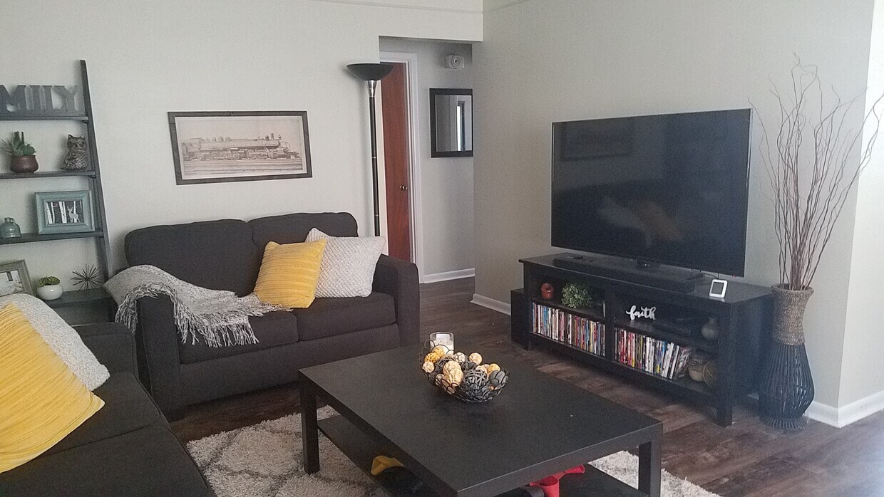 Living Room - 933 Hollytree Dr
