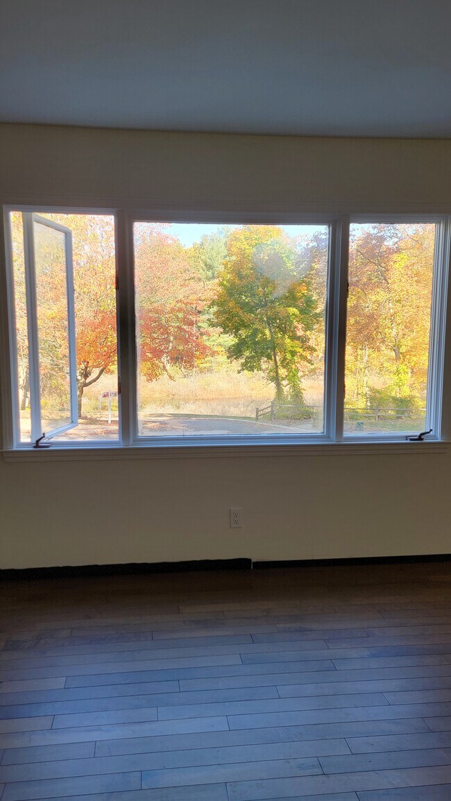 Ventanal del salón, con vistas al norte. - 3705 Winchell Ave