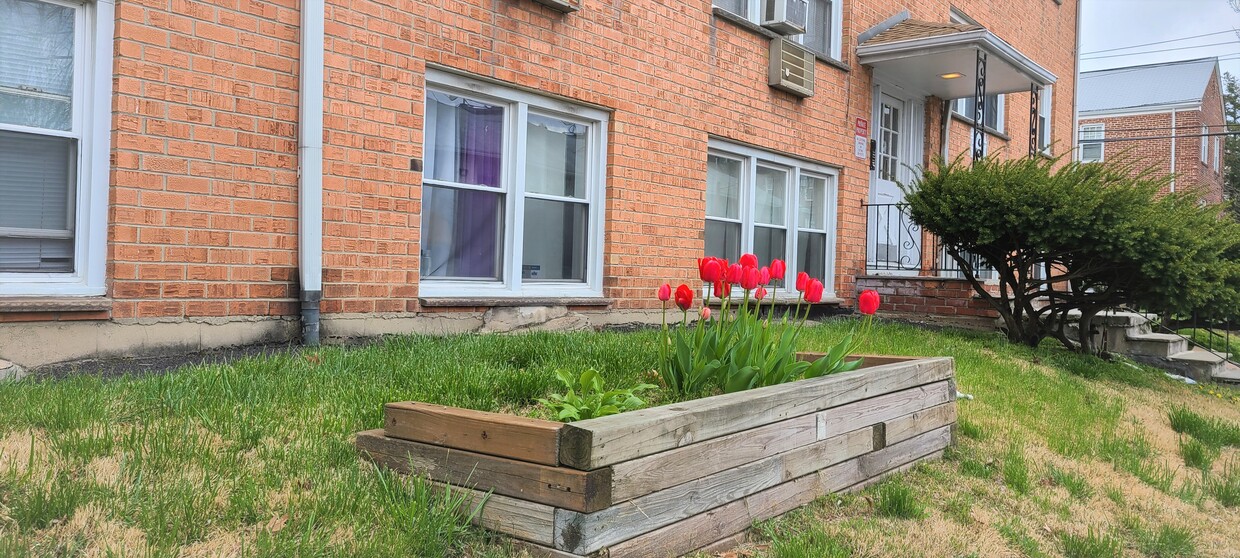 Terraced Landscape with Seasonal Flowers - 385 Stuyvesant Ave