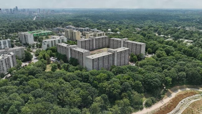  - Forest Hill