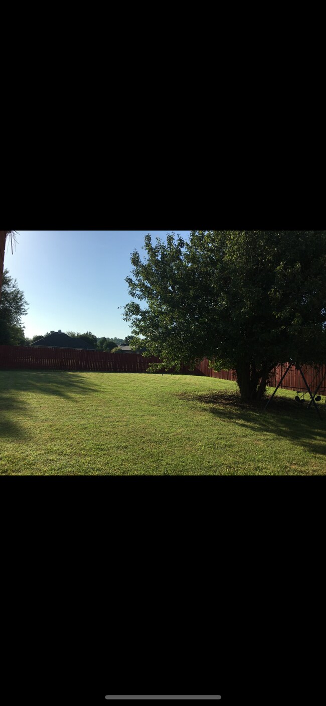 Backyard with privacy fence - 7001 Millennium Dr