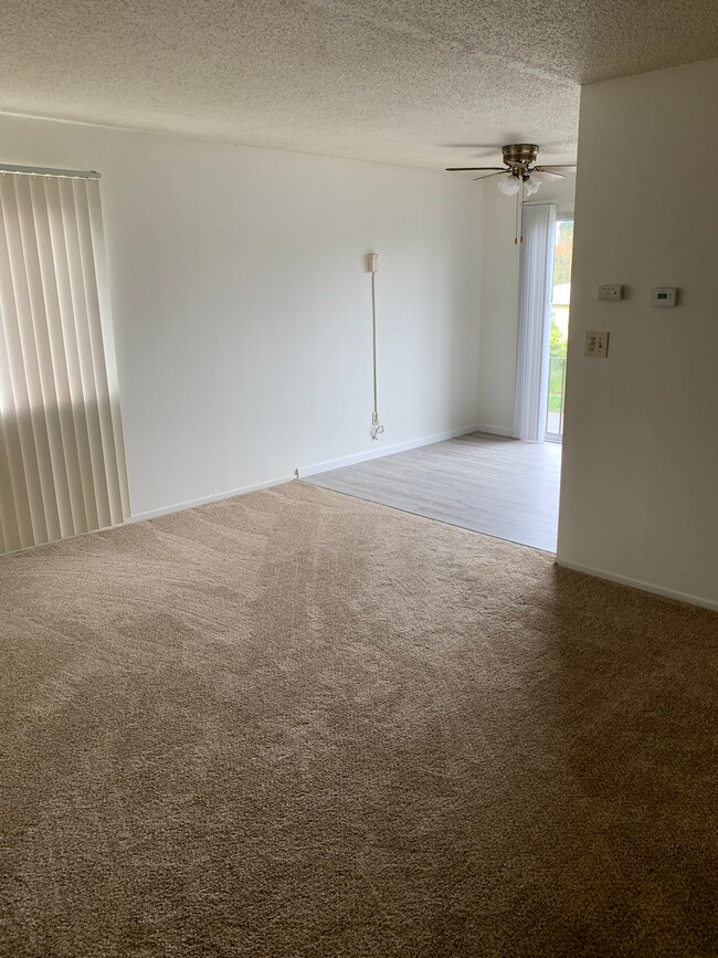 Building Photo - 906 Channing Way