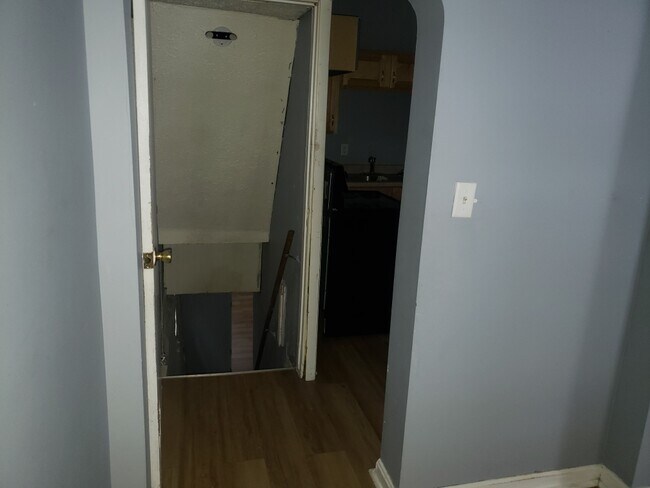 Basement Door - 1007 6th Ave
