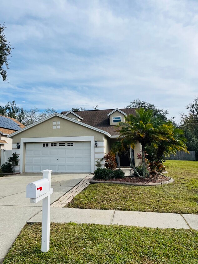 1738 Horsechestnut Ct, Trinity, FL 34655 House Rental in Trinity, FL