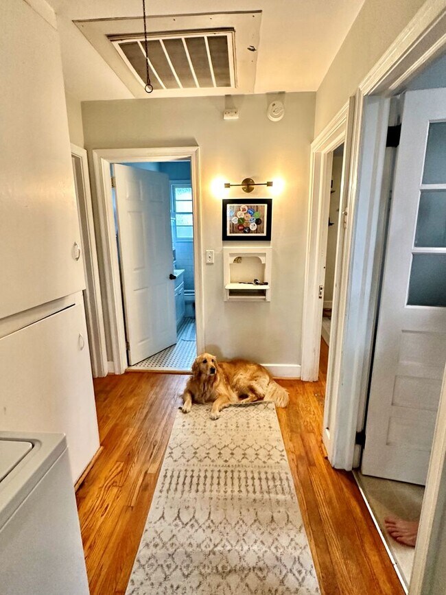 Foto del edificio - 2 Bedroom | 1 Bathroom Home – Downtown Cha...