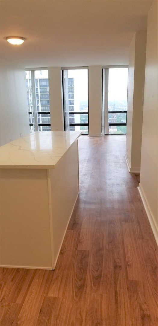 Foto del edificio - 1660 N La Salle Dr
