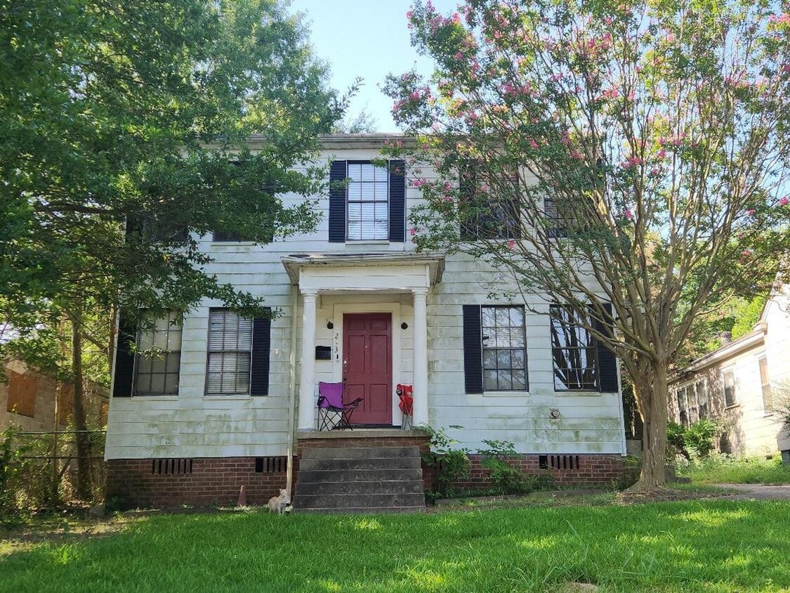 Primary Photo - 215 Merrick St