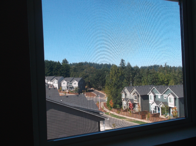 Building Photo - 2513 Rockrose Ln