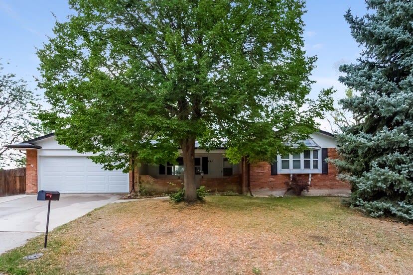 Primary Photo - 641 Joplin St