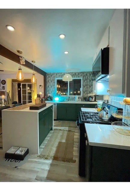 Cocina a medida, remodelada, electrodomésticos incluidos. - 2659 Newell St