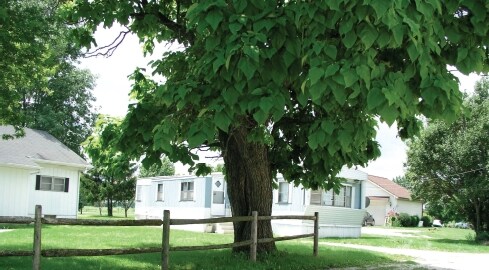 Building Photo - Allen Park Mobile Court