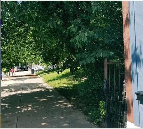 Building Photo - 3630 Midvale Ave