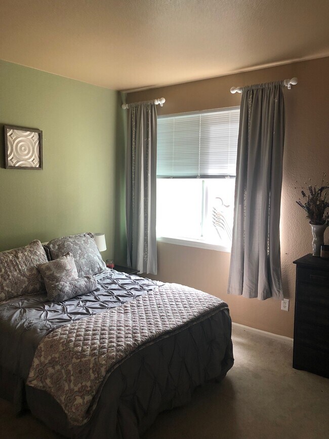 2nd bedroom - 1963 Grays Peak Dr