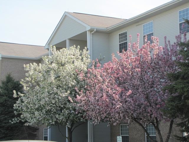 Foto del edificio - Anderson Farms Apartments