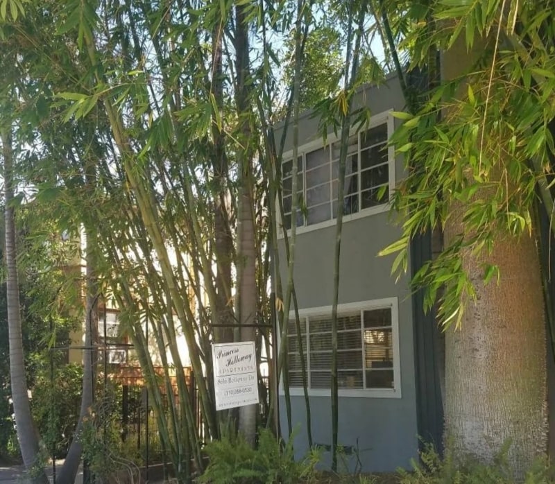Primary Photo - 8616 Holloway Dr